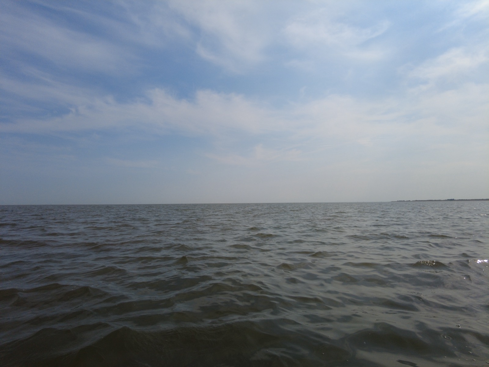 Terugkeer Lauwersoog